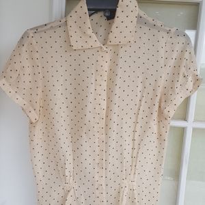 The Limited Sheer blouse
